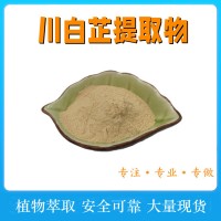 川白芷提取物 白芷濃縮粉 100目 水溶原料