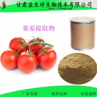 番茄提取物   番茄粉   番茄紅素