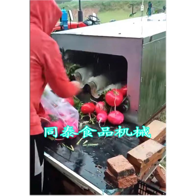 紅圓蘿卜清洗機(jī)1