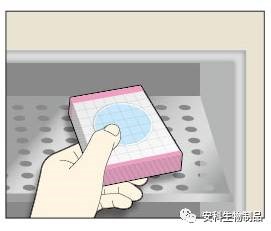 取出細(xì)菌5