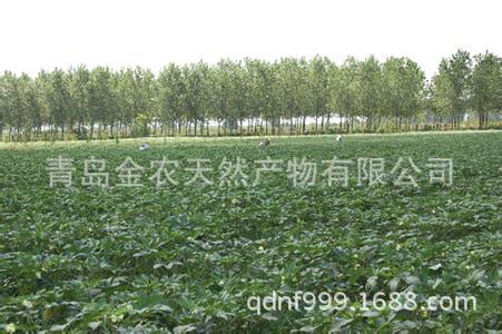 u=2158797565,2368919063&fm=23&