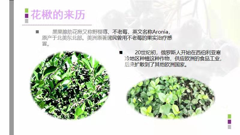 微信圖片_20191226170148