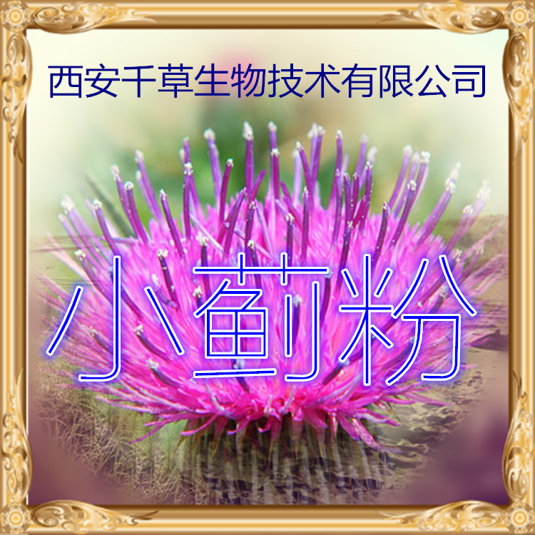 小薊粉0