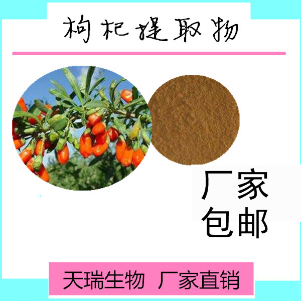 枸杞1_副本