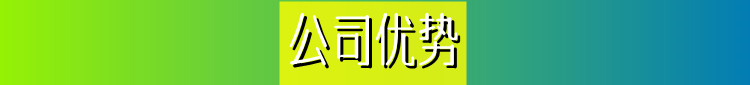 公司優(yōu)勢(shì)