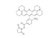 蛋白質(zhì)、多肽、核酸等生物分子標記染料解決方案----Lumiprobe(5)|高校教學(xué)與科研實驗|上海西寶生物科技有限公司-咨詢電話：400-021-8158