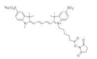 蛋白質(zhì)、多肽、核酸等生物分子標記染料解決方案----Lumiprobe(5)|高校教學(xué)與科研實驗|上海西寶生物科技有限公司-咨詢電話：400-021-8158