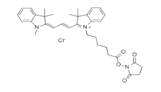 蛋白質(zhì)、多肽、核酸等生物分子標記染料解決方案----Lumiprobe(5)|高校教學(xué)與科研實驗|上海西寶生物科技有限公司-咨詢電話：400-021-8158