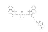 蛋白質(zhì)、多肽、核酸等生物分子標記染料解決方案----Lumiprobe(5)|高校教學(xué)與科研實驗|上海西寶生物科技有限公司-咨詢電話：400-021-8158