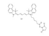 蛋白質(zhì)、多肽、核酸等生物分子標記染料解決方案----Lumiprobe(5)|高校教學(xué)與科研實驗|上海西寶生物科技有限公司-咨詢電話：400-021-8158