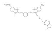 蛋白質(zhì)、多肽、核酸等生物分子標記染料解決方案----Lumiprobe(5)|高校教學(xué)與科研實驗|上海西寶生物科技有限公司-咨詢電話：400-021-8158