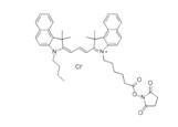 蛋白質(zhì)、多肽、核酸等生物分子標記染料解決方案----Lumiprobe(5)|高校教學(xué)與科研實驗|上海西寶生物科技有限公司-咨詢電話：400-021-8158