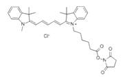 蛋白質(zhì)、多肽、核酸等生物分子標記染料解決方案----Lumiprobe(5)|高校教學(xué)與科研實驗|上海西寶生物科技有限公司-咨詢電話：400-021-8158