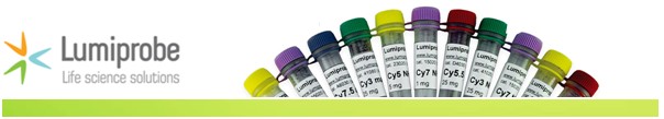蛋白質(zhì)、多肽、核酸等生物分子標記染料解決方案----Lumiprobe(5)|高校教學(xué)與科研實驗|上海西寶生物科技有限公司-咨詢電話：400-021-8158