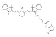 蛋白質(zhì)、多肽、核酸等生物分子標記染料解決方案----Lumiprobe(5)|高校教學(xué)與科研實驗|上海西寶生物科技有限公司-咨詢電話：400-021-8158