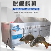 全自動大型脫魚鱗機(jī)器  無損傷的鯉魚去鱗設(shè)備