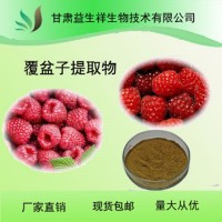 覆盆子提取物 10:1  益生祥   覆盆子粉