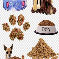 全自動(dòng)狗糧膨化機(jī)械    寵物飼料生產(chǎn)線設(shè)備