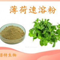 薄荷速溶粉 斯諾特工廠供應 水溶性好 質(zhì)量穩(wěn)定 可試樣