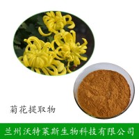 野菊花 植物提取物 野菊花黃酮 新貨供應(yīng)
