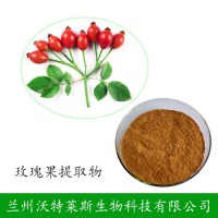 玫瑰果提取物 20:1比例 玫瑰果粉 1kg起售