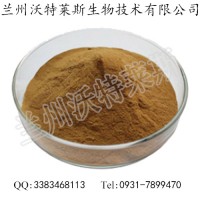 天葵子提取物 天葵子提取粉 現(xiàn)貨供應(yīng) 1kg鋁箔袋
