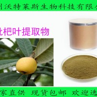 枇杷葉提取物10:1 枇杷葉 植物提取物