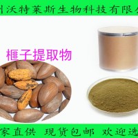 榧子提取物 榧子粉   1公斤起訂