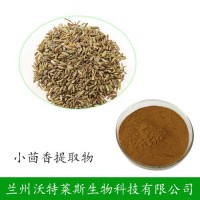 現(xiàn)貨包郵 小茴香提取物 小茴香黃酮