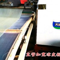 水晶苕皮機(jī)，自熟粉皮機(jī)，米漿燙皮機(jī)
