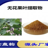 無(wú)花果葉提取物 植物提取物 無(wú)花果葉粉