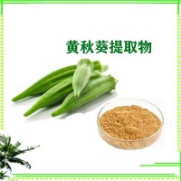 黃秋葵提取物 黃秋葵粉食品級(jí)原料