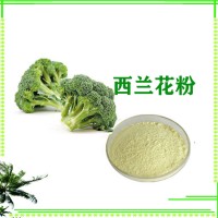 西蘭花粉 西蘭花提取物食品級(jí)原料