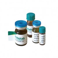 黃曲霉毒素B2/乙腈-0.5 μg/mL液體標準品