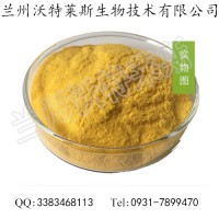 百香果粉 百香果提取物 廠家直銷(xiāo) 專(zhuān)業(yè)提取 水溶性好
