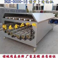 全自動(dòng)洗蘿卜機(jī)器 專業(yè)白蘿卜清洗機(jī)