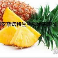 菠蘿濃縮粉 天然濃縮萃取 庫存現(xiàn)貨 包郵