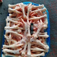 凍貨老雞爪休閑食品加工廠食材原料山東供應(yīng)