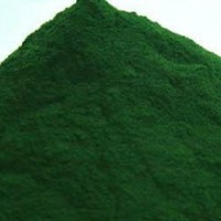 海藻粉生產(chǎn)廠家 海藻粉價(jià)格
