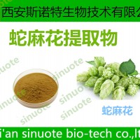 蛇麻花提取物 三原工廠 廠家現(xiàn)貨 可試樣
