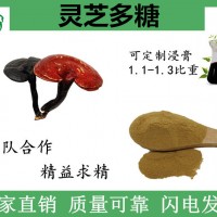 靈芝多糖 提取物粉 膳食纖維粉 噴霧干燥粉