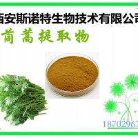 茼蒿提取物  10:1 茼蒿粉 植物提取 可試樣