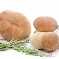 蘑菇檢測(cè)機(jī)構(gòu),蘑菇出口農(nóng)殘檢測(cè)