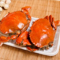 珍寶蟹檢測(cè)報(bào)告,珍寶蟹質(zhì)量檢測(cè)機(jī)構(gòu),珍寶蟹微生物檢測(cè)項(xiàng)目