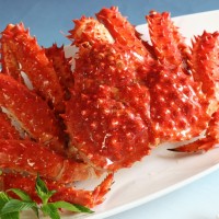 帝王蟹抗生素檢測(cè)報(bào)告,帝王蟹質(zhì)量檢測(cè)機(jī)構(gòu),帝王蟹營(yíng)養(yǎng)檢測(cè)項(xiàng)目