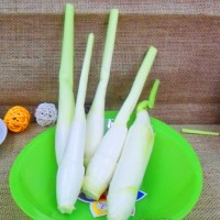 高筍檢測(cè)農(nóng)藥殘留,高筍營(yíng)養(yǎng)成分檢測(cè)機(jī)構(gòu)
