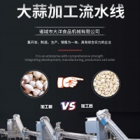 大蒜加工流水線 廠家直銷蒜米生產(chǎn)線 不銹鋼蒜米流水線