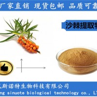 寧夏沙棘粉 沙棘提取物 備案廠家 資質(zhì)齊全