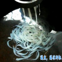 小型漏魚機(jī) 漏涼蝦機(jī) 粉魚機(jī)