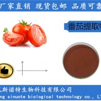 番茄紅素5% 番茄提取物 植提工廠供應(yīng)